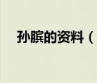 孙膑的资料（说一说孙膑的资料的简介）