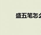 盛五笔怎么打法（盛五笔怎么打）
