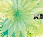 灵翼之龙声望怎么刷