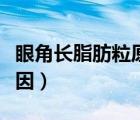 眼角长脂肪粒原因是什么（眼角长脂肪粒的原因）