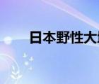日本野性大地 下载（日本野性大地）