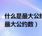 什么是最大公约数什么是最小公约数（什么是最大公约数）