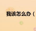 我该怎么办（说一说我该怎么办的简介）