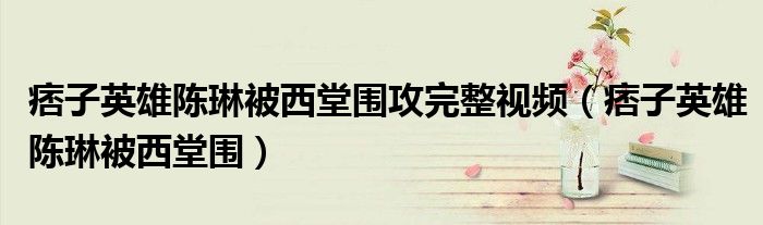 痞子英雄陈琳被西堂围攻完整视频（痞子英雄陈琳被西堂围）