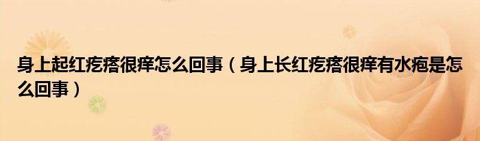 身上起红疙瘩很痒怎么回事（身上长红疙瘩很痒有水疱是怎么回事）