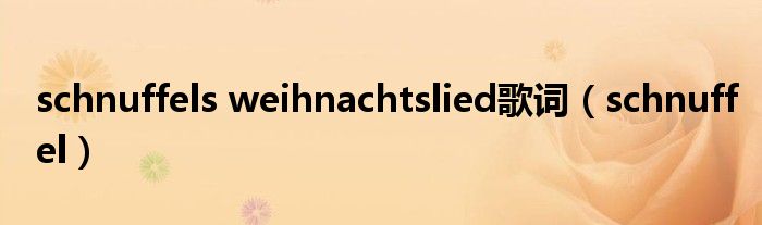 schnuffels weihnachtslied歌词（schnuffel）