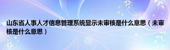 山东省人事人才信息管理系统显示未审核是什么意思（未审核是什么意思）