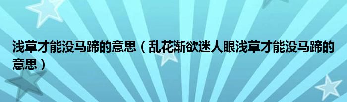 浅草才能没马蹄的意思（乱花渐欲迷人眼浅草才能没马蹄的意思）