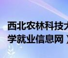西北农林科技大学就业网站（西北农林科技大学就业信息网）