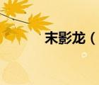 末影龙（说一说末影龙的简介）