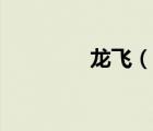 龙飞（说一说龙飞的简介）