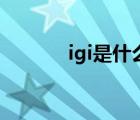 igi是什么证书（igi证书查询）