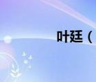 叶廷（说一说叶廷的简介）
