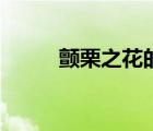 颤栗之花的肉在哪里（颤栗之花）