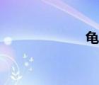龟血爱条（龟血）