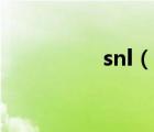 snl（说一说snl的简介）