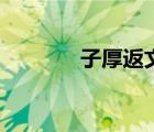子厚返文王什么意思（子厚）