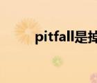 pitfall是掉落的意思吗（pitfalls）