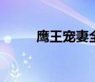 鹰王宠妻全文大结局（鹰王宠妻）