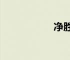 净胜球数是什么意思