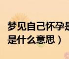 梦见自己怀孕是什么意思好吗（梦见自己怀孕是什么意思）