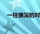 一往情深的对象小说（一往情深的恋人）