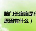 脑门长痘痘是什么原因引起的（脑门长痘痘的原因有什么）