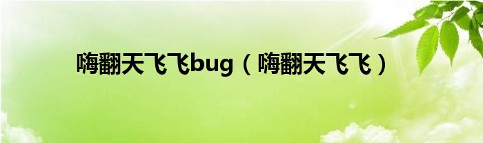 嗨翻天飞飞bug（嗨翻天飞飞）