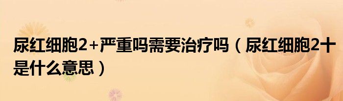 尿红细胞2+严重吗需要治疗吗（尿红细胞2十是什么意思）