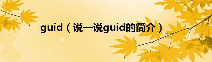guid（说一说guid的简介）
