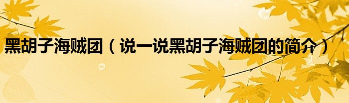 黑胡子海贼团（说一说黑胡子海贼团的简介）
