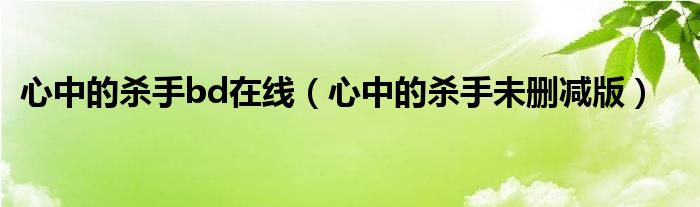 心中的杀手bd在线（心中的杀手未删减版）