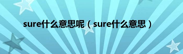 sure什么意思呢（sure什么意思）
