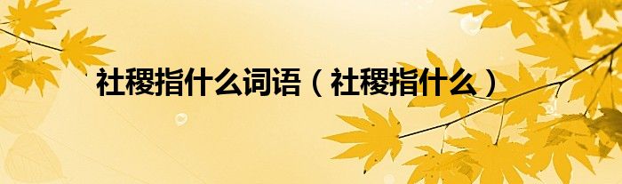 社稷指什么词语（社稷指什么）