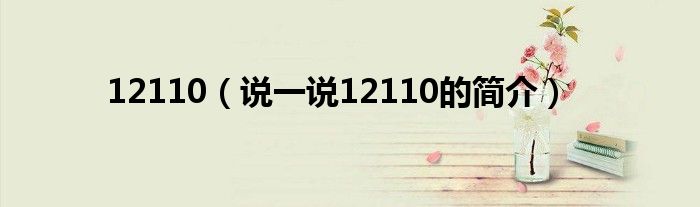 12110（说一说12110的简介）