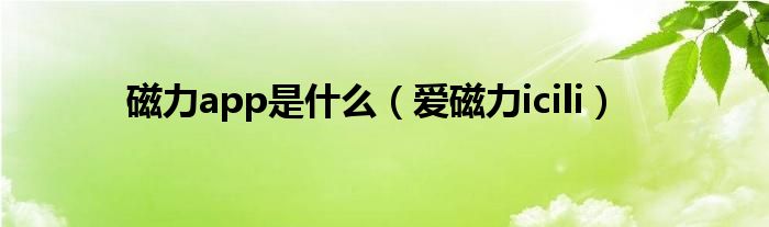 磁力app是什么（爱磁力icili）