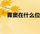胃窦在什么位置图片（胃窦在什么位置）
