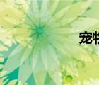 宠物窝垫（宠物窝）