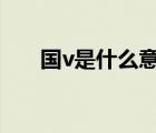 国v是什么意思b站（国v是什么意思）