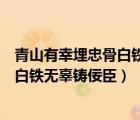 青山有幸埋忠骨白铁无辜铸佞臣是谁写的（青山有幸埋忠骨白铁无辜铸佞臣）