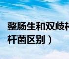 整肠生和双歧杆菌有什么区别（整肠生和双歧杆菌区别）