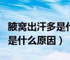 腋窝出汗多是什么原因怎么调理（腋窝出汗多是什么原因）