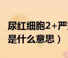 尿红细胞2+严重吗需要治疗吗（尿红细胞2十是什么意思）