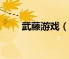 武藤游戏（说一说武藤游戏的简介）