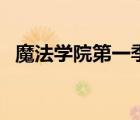 魔法学院第一季（漠瞳之魂贵族魔法学院）