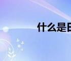 什么是日珥环（什么是日珥）