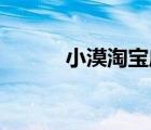 小漠淘宝店miss（小漠淘宝店）