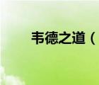 韦德之道（说一说韦德之道的简介）