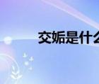 交姤是什么意思（尜尜什么意思）