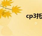 cp3托盘尺寸（cp3托盘）